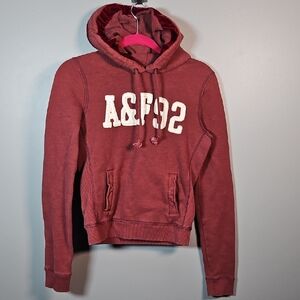 Abercrombie & Fitch Burgundy Sweater